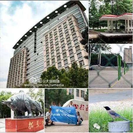 一周概览:点点看,农大大事小情全知道(7.23~7.29)