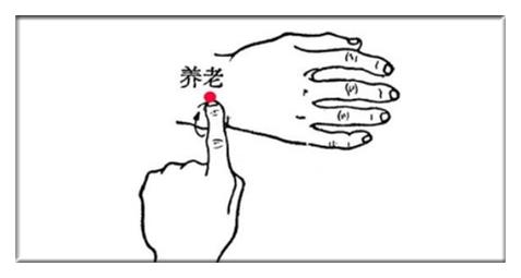 常按这二个穴位有效改善老年痴呆,防治老花眼的七个穴位