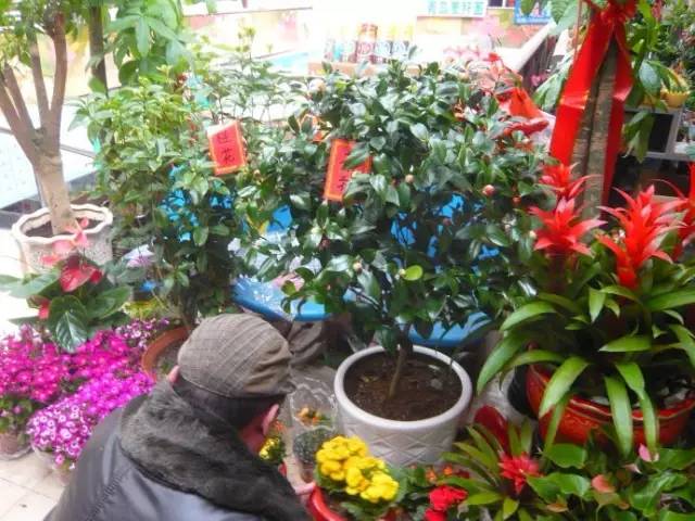 等我老了，就在大连这样过|终极版