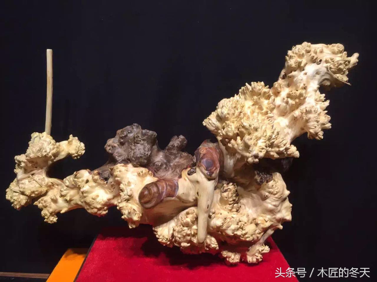 崖柏根雕鉴赏的十大标准,崖柏根雕为什么这么火