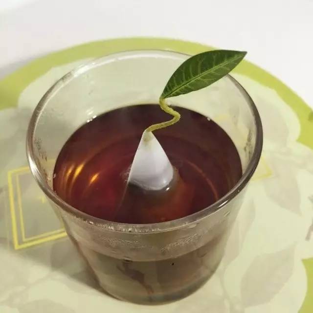 好多人推荐的茶包叫什么,茶包牌子排名