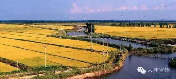 五载流金岁月 铸就风华大洼