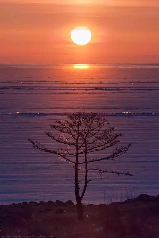 比东南亚划算还免签，只要1W，就能到俄国最美的贝加尔湖！