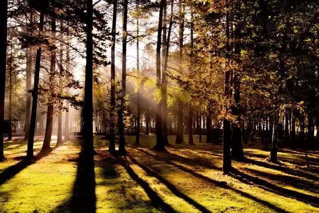 比东南亚划算还免签，只要1W，就能到俄国最美的贝加尔湖！