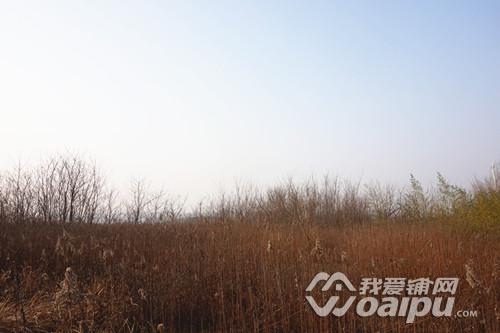 市场前瞻:外围投资客撤离合肥下半年商铺销售会降温