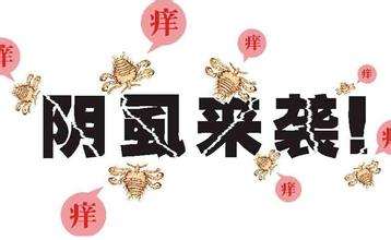 阴虱这种病，谁得谁知道，那酸爽能记一辈子！