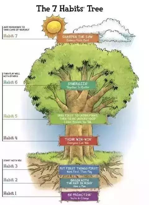 周一综合症最佳治愈方法,一周养育护理指南