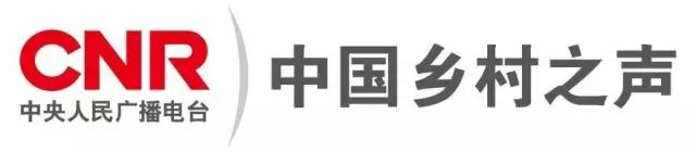 这位感动常州的“红衣奶奶”,即将在电波中再次温暖我们!