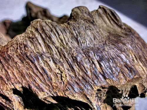 怎么认识紫檀木,如何认识沉香