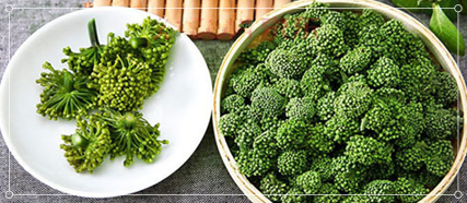 伏天吃祛寒湿中药有哪些,中伏泡水喝有什么功效