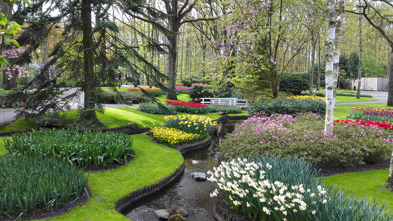 荷兰奶粉哪种是最好的,荷兰奶粉有什么秘密