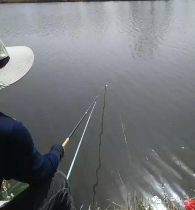 一入钓鱼深似海,一入黑坑