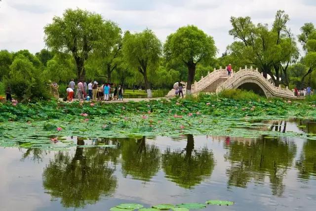 你心中的哈尔滨是什么样的,哈尔滨是个什么样的地方