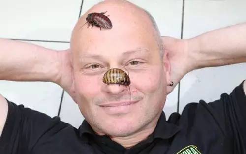 女店长视钱如命，为免赔生吞蟑螂！