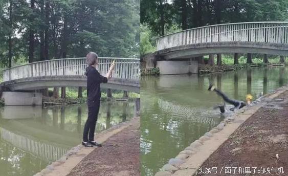 世界有名的“宅”日本,这几天都跑大街上,听说很多躺医院去了!