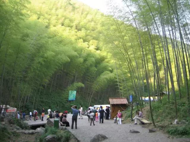 中国十三个最美的著名竹海,江苏旅游十大必去景区南山竹海
