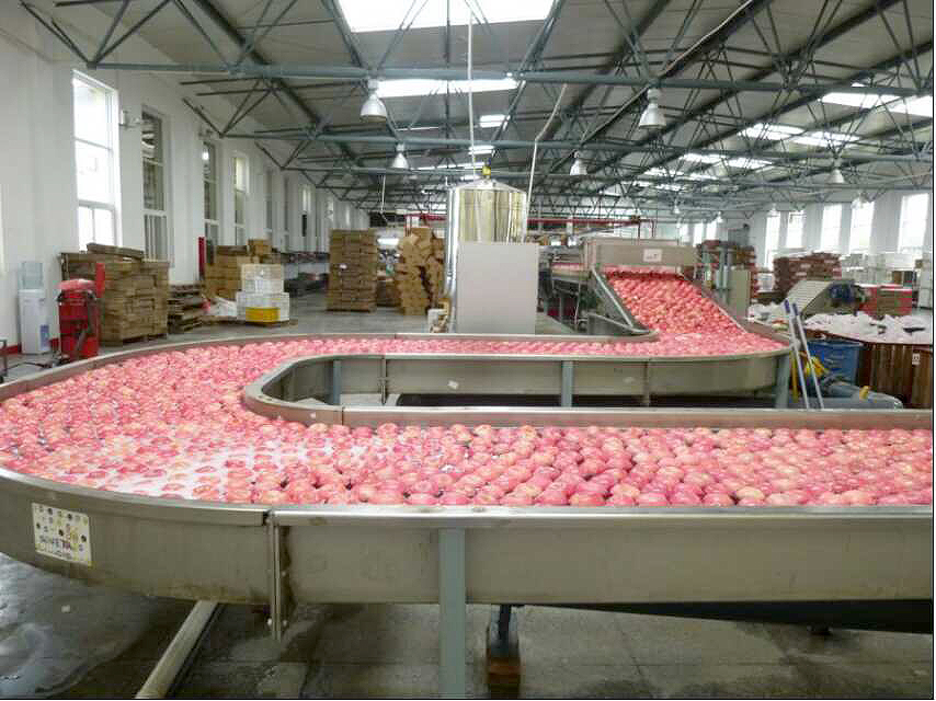 对话果商∣南果大量上市的季节，勇记苹果如何逆流而上？