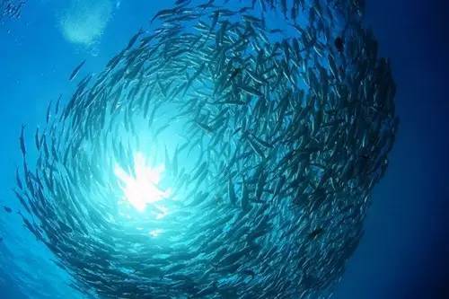 图兰奔潜水——探秘二战沉船体验