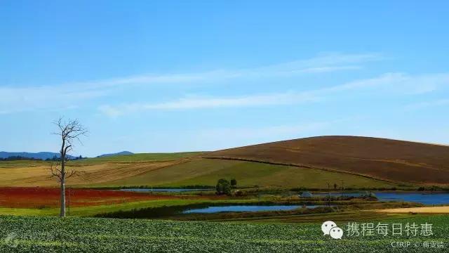 上海一套房子承包几座岛 (买一个有人居住的岛要多少钱)