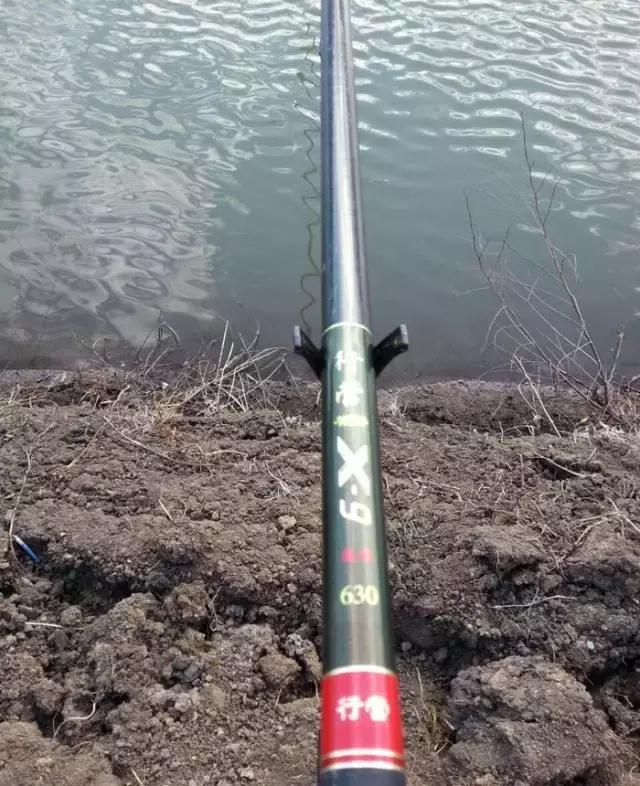 《渔获战报》大青鱼爆连引发的连环事件