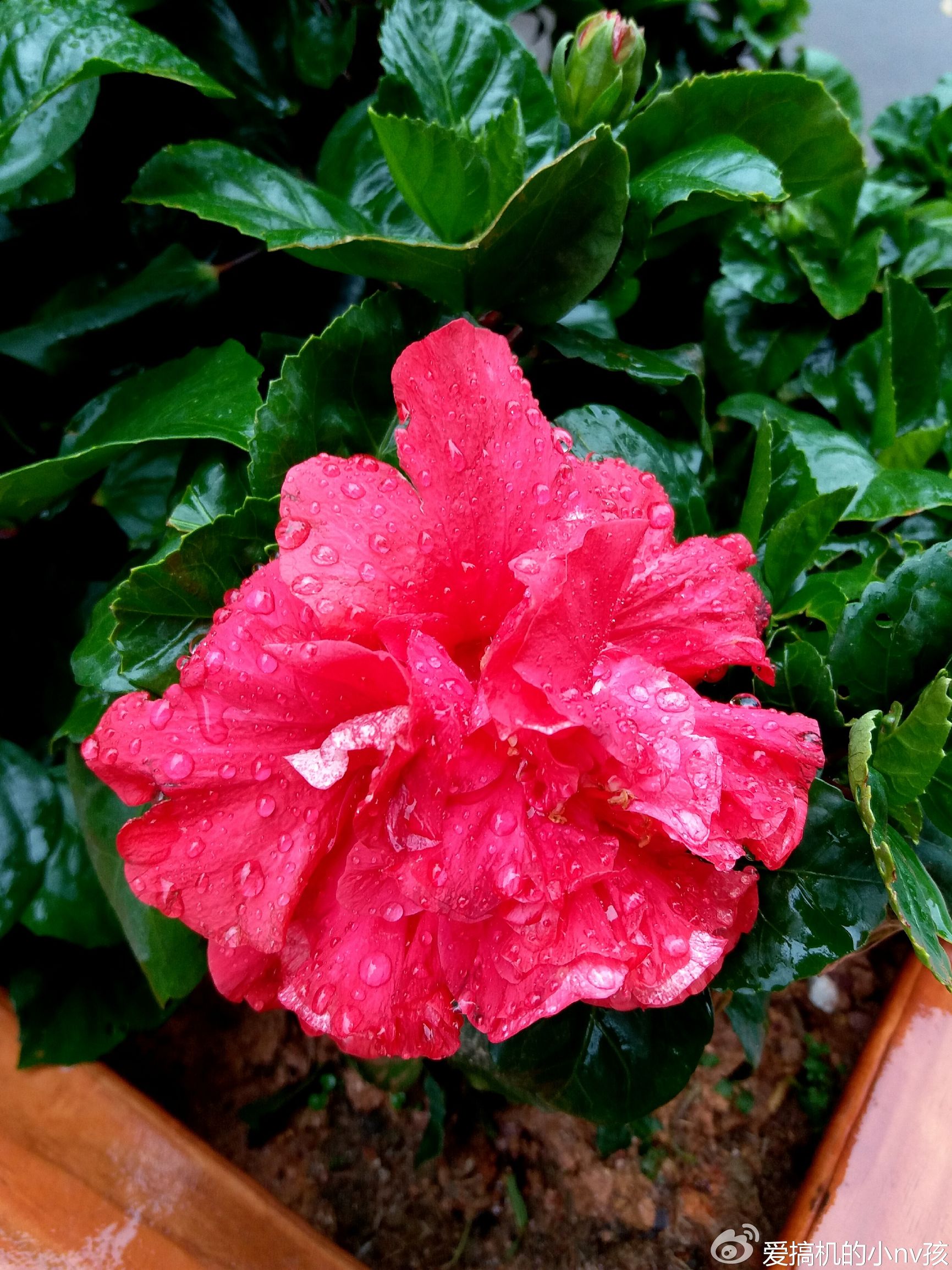 三星galaxyc7现在价格,三星galaxyc7发售价