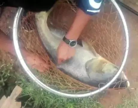 娓旇幏閽撻奔,娓旇幏鎴樻姤