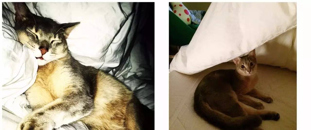 g-dragon权志龙颜值,权志龙姐姐权达美