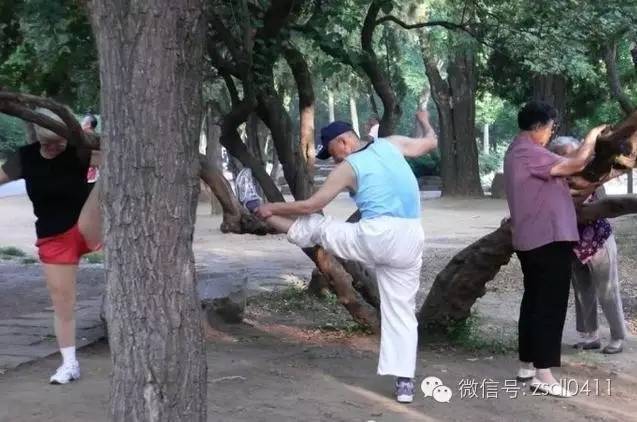 等我老了，就在大连这样过|终极版