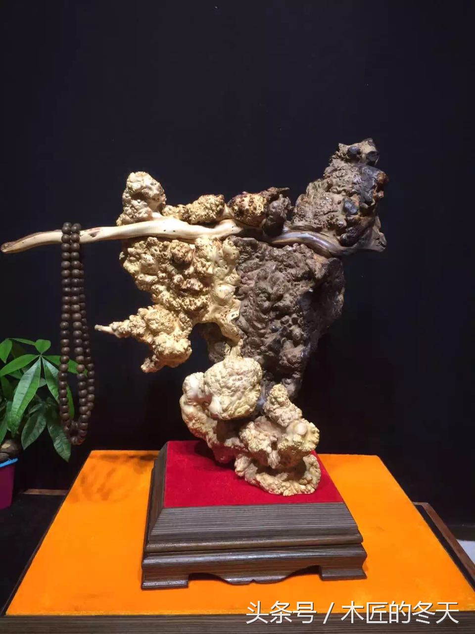 崖柏根雕鉴赏的十大标准,崖柏根雕为什么这么火