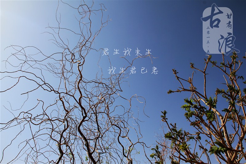 一个说走就走的地方,古浪著名的地方