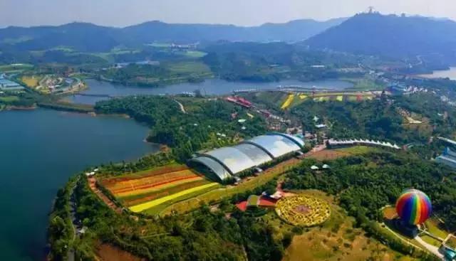 深圳东部华侨城60岁免费的景区,深圳东部华侨城两天一夜攻略