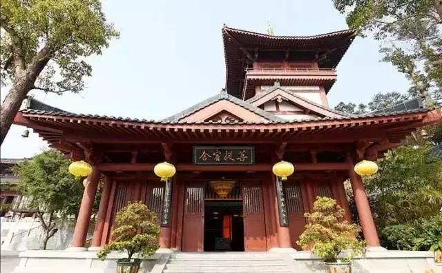 深圳东部华侨城60岁免费的景区,深圳东部华侨城两天一夜攻略