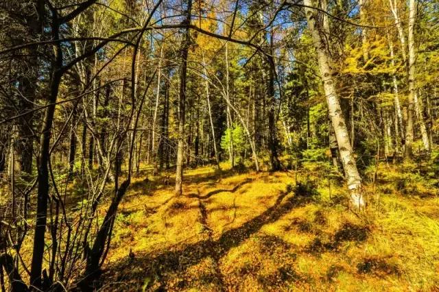 比东南亚划算还免签，只要1W，就能到俄国最美的贝加尔湖！