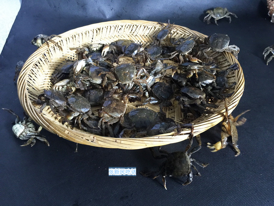 潮汕咸膏蟹是用什么蟹,潮汕腌制的螃蟹