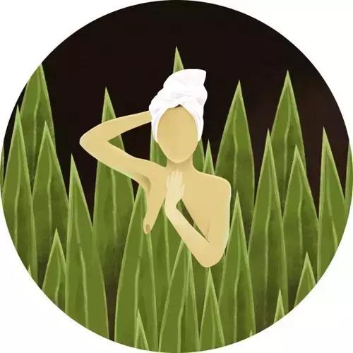 波尔图插画师作品,荷兰艺术家rajacenna一幅画多少钱