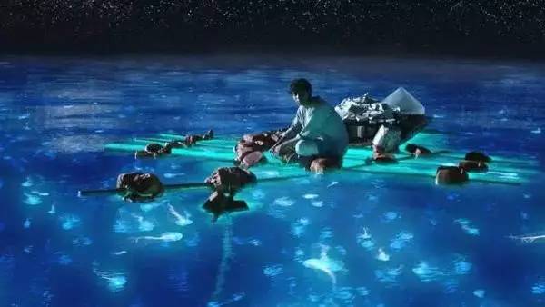 福鼎嵛山岛游玩朋友圈,渔山列岛打卡