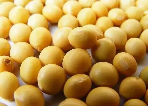 气血足面色白皙红润,气血不足吃什么食物能补足