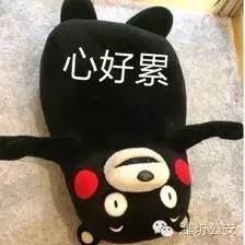 网上高薪招司机是真的吗,最新急招c本司机招聘信息