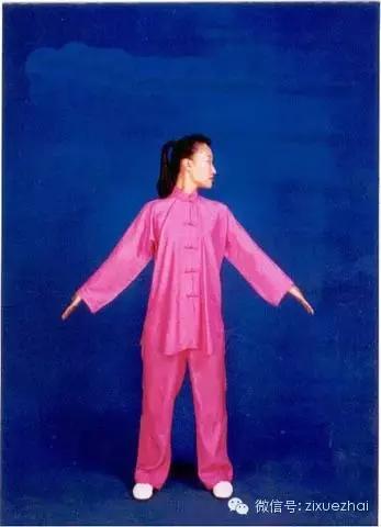 杨绛先生练的八段锦,老年人八段锦的锻炼视频