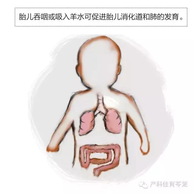 羊水过多和过少的原因,怎么预防羊水过多或过少
