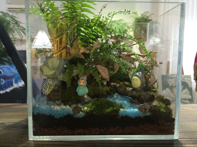 在青蓝树培养艺术“细菌”