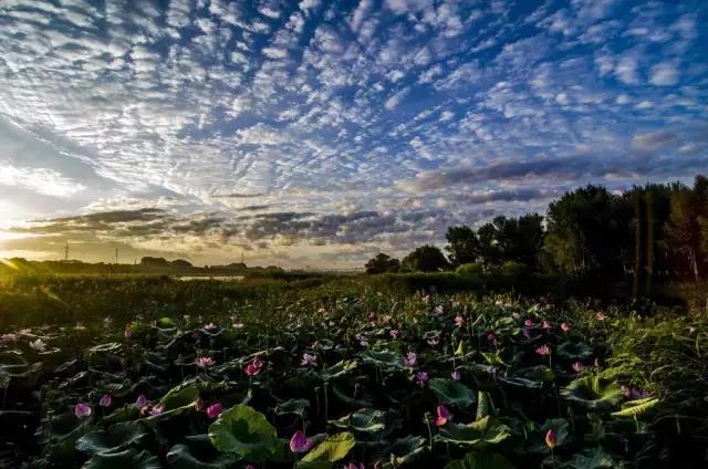 你心中的哈尔滨是什么样的,哈尔滨是个什么样的地方