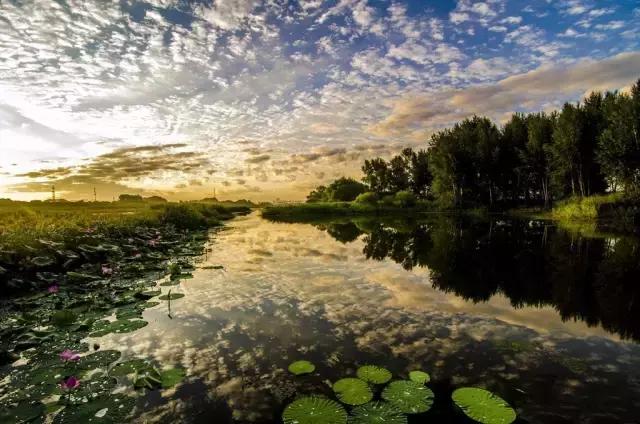 你心中的哈尔滨是什么样的,哈尔滨是个什么样的地方