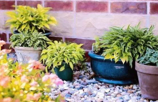 神奇的洗发水功效,洗发水有什么其他妙用