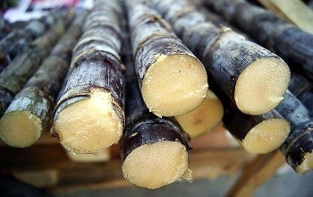 4种水果你吃对了吗,6种有吉祥意义的水果