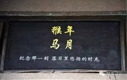 猴年马月真的来吗,猴年马月真的来了吗