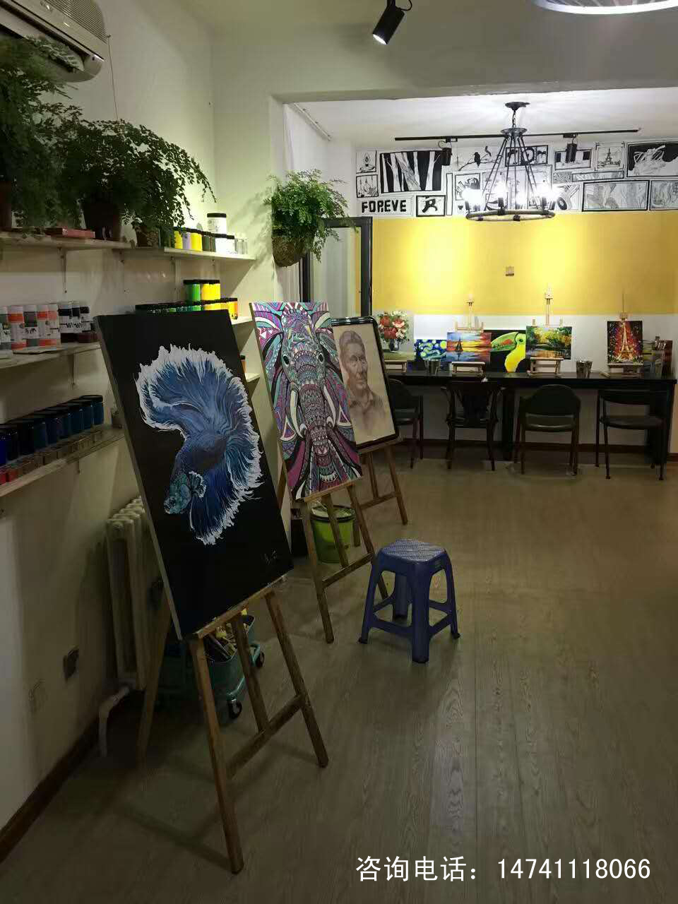 在青蓝树培养艺术“细菌”