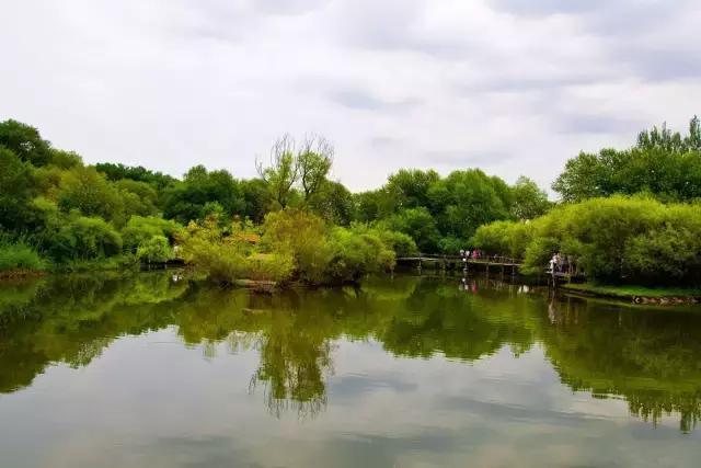 你心中的哈尔滨是什么样的,哈尔滨是个什么样的地方