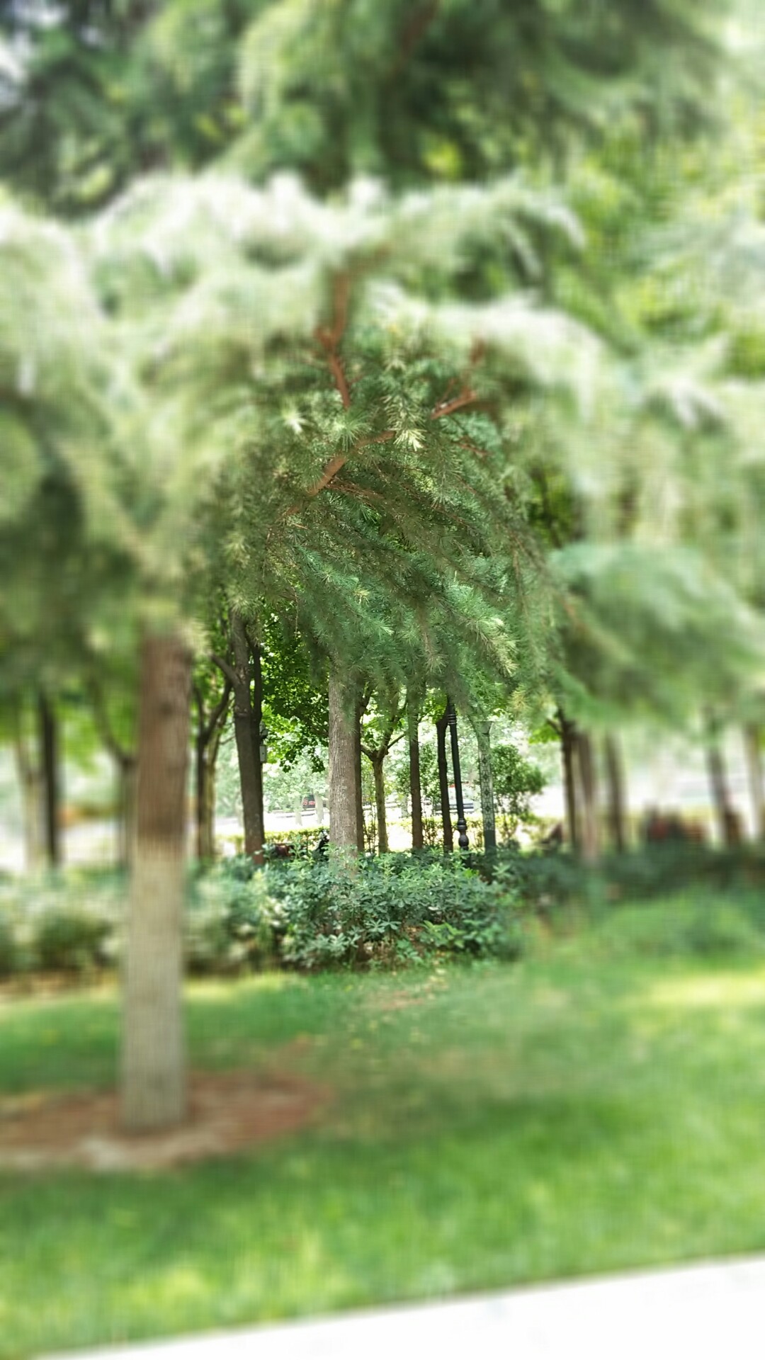 国产手机市场格局,中国手机市场三巨头