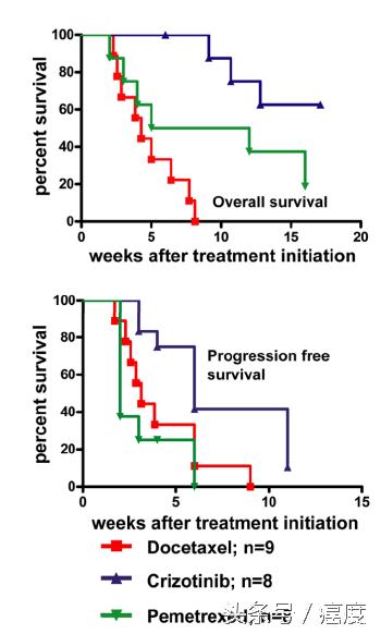 alk基因突变靶向药物作用点,alk基因突变靶向药物有几代
